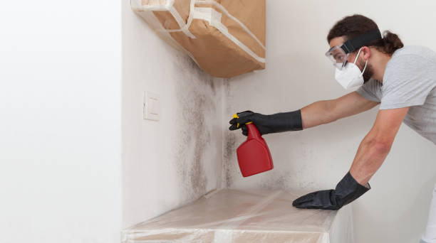 Professional Commercial Mold Remediation technician working in Freeport, NY